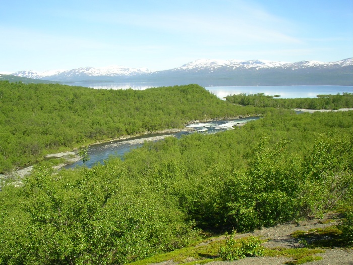 Abiskojokks delta